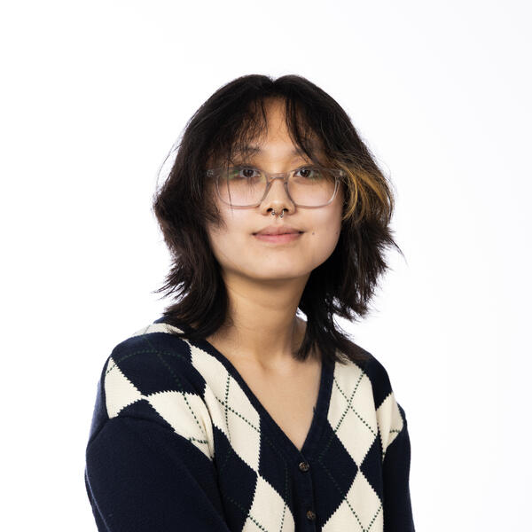 Human wearing glasses and a diamond-patterned sweater.